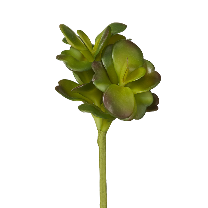 7" Jade Pick JA1003