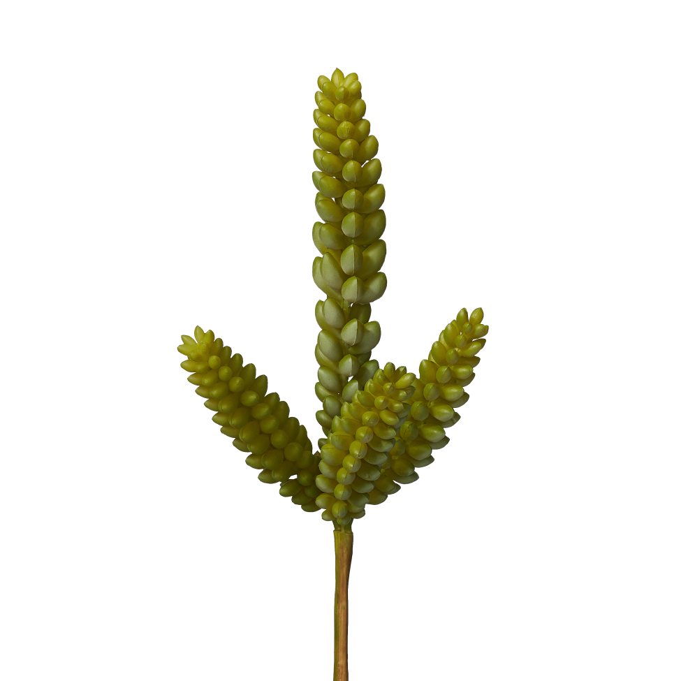 11" Green Sedum Stem UV Treated SE1009UV