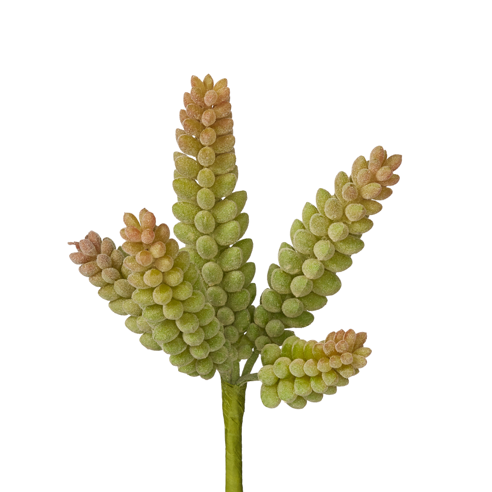 7" Flocked Red Tip Sedum SE1010