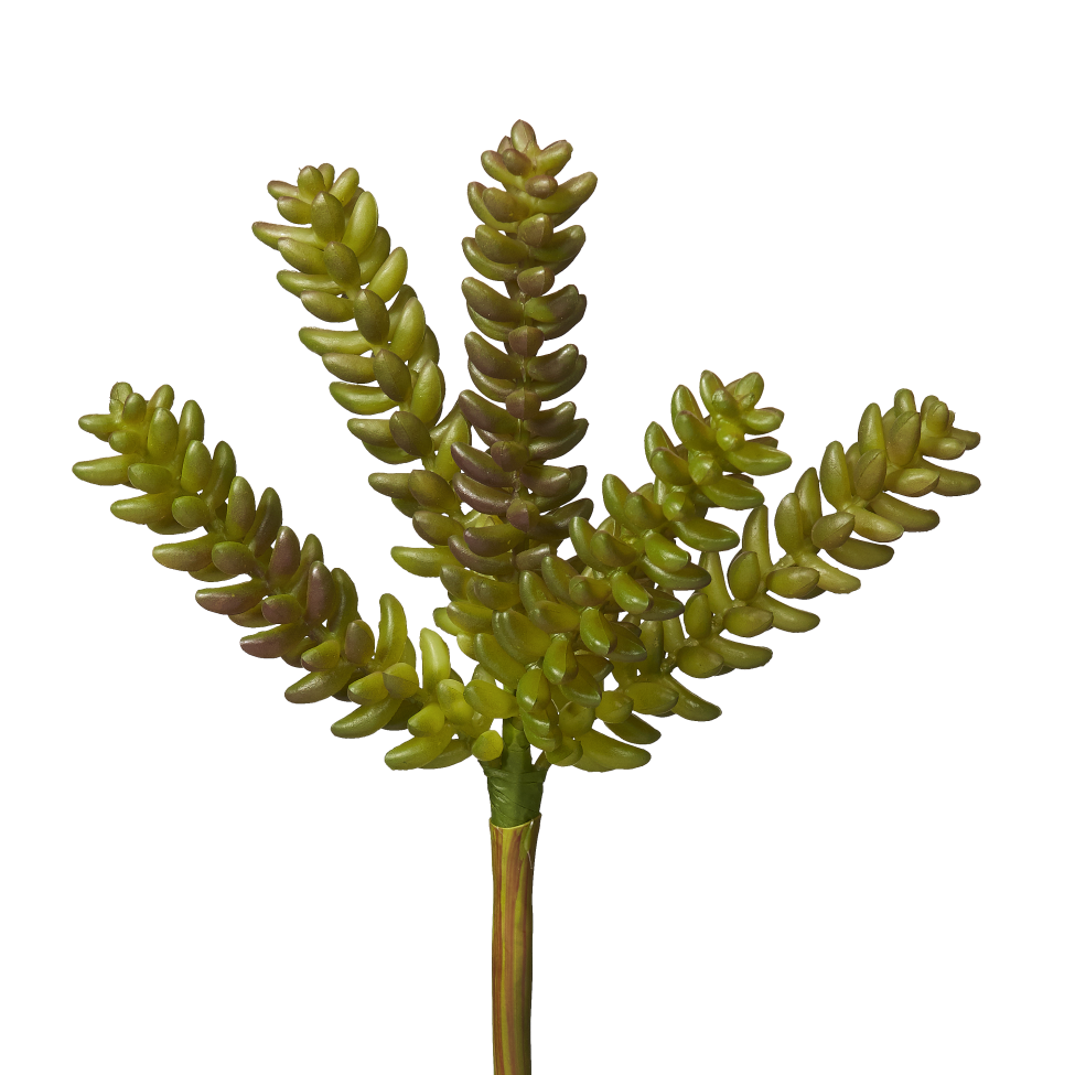 10" Sedum Pick SE1008UV