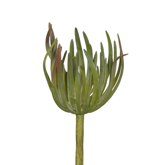 9" Green Succulent Pick-UV Treated SU1014UV