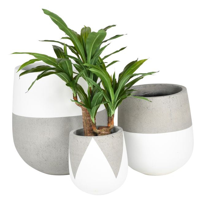 Emma Planters-White CN1028