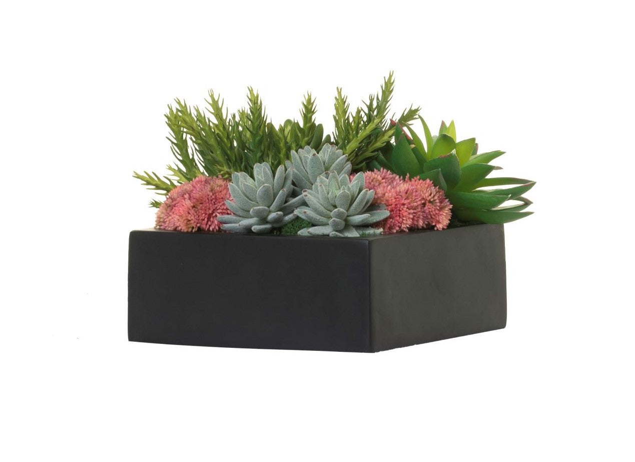 table top succulents 9" Black Sebastian Table Top Planter with Succulents AR1314