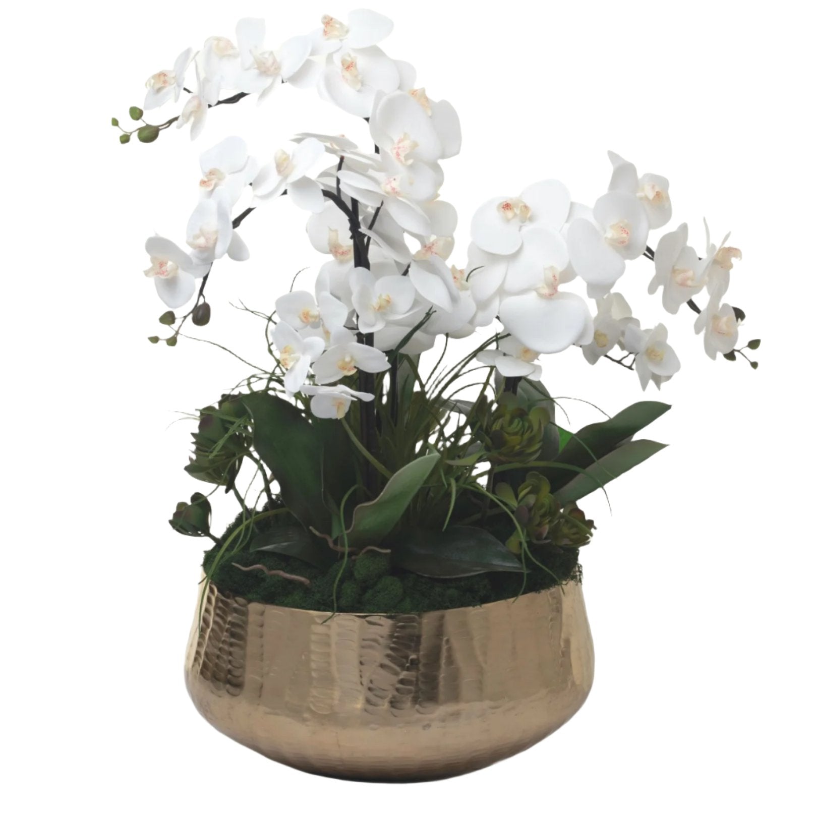 17" Roberi Bowl with Orchid Arrangement AR1093