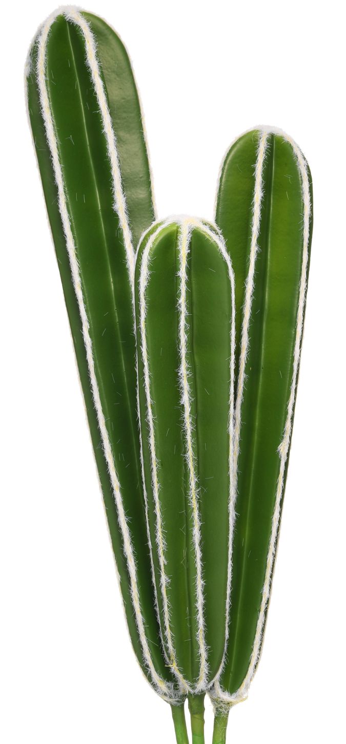 13"-17.5" Soft Peruvian Cactus (Set of 3) CC1016