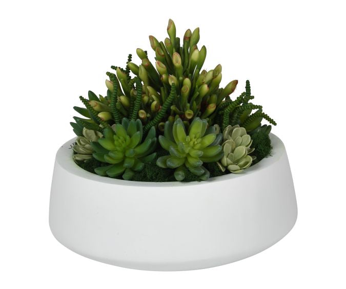succulent round pot 11" Edison Bowl with Succulent Arrangement AR1070