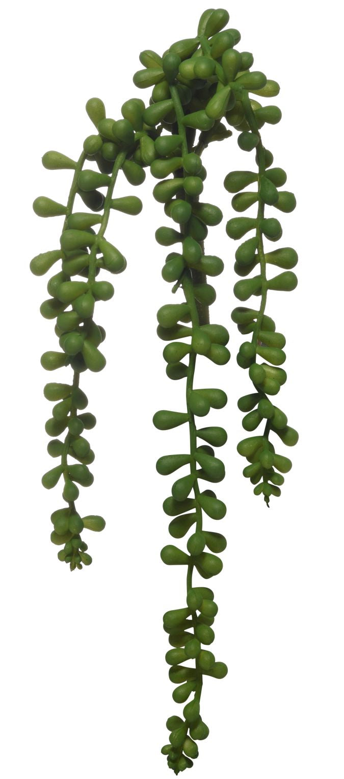 15.5” Green Hanging Sedum SE1011