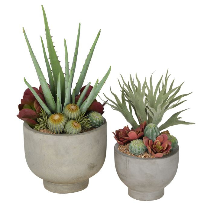 Concrete Compote Arrangement Duo AR1074