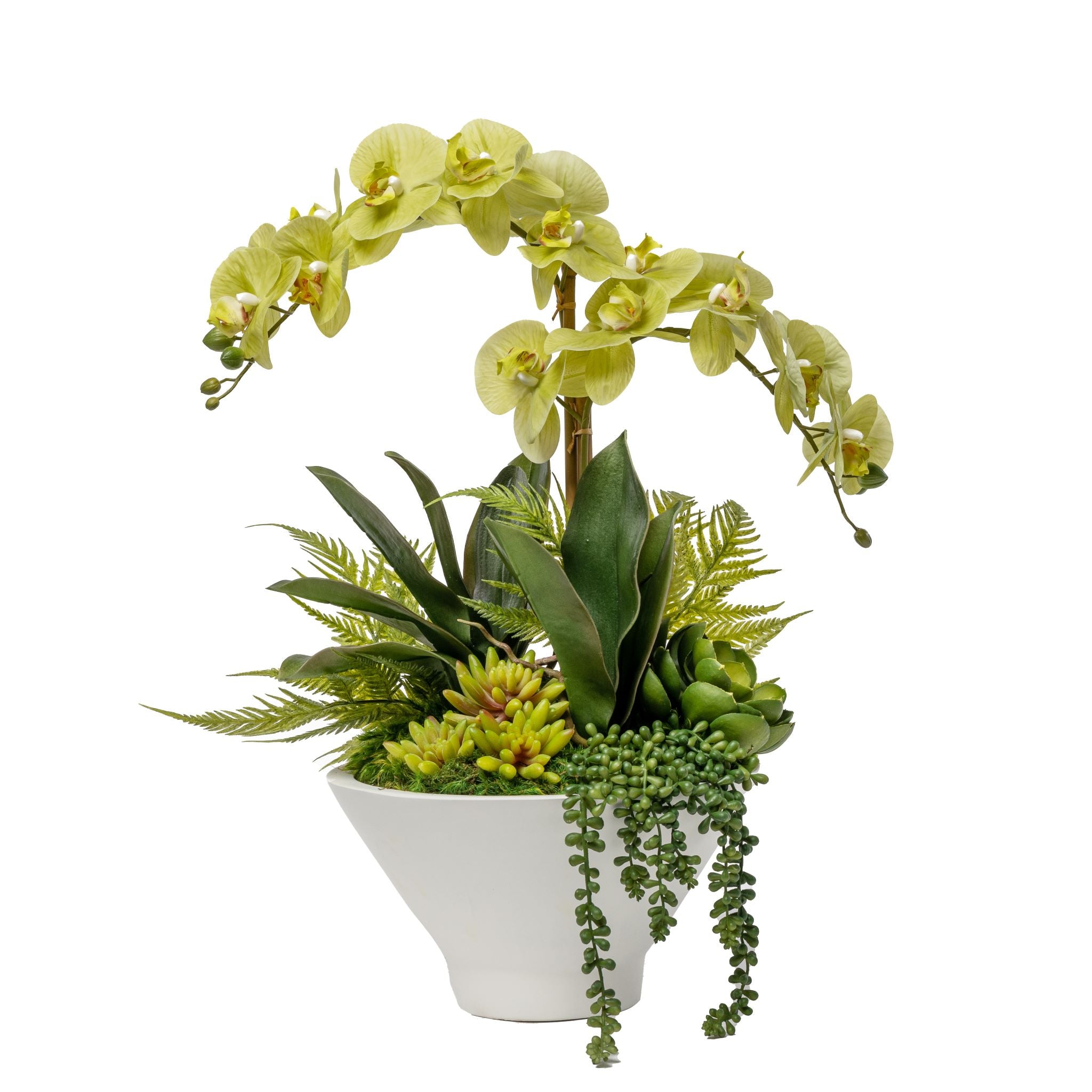 Small Ubud Bowl with Green Orchid Arrangement AR1656
