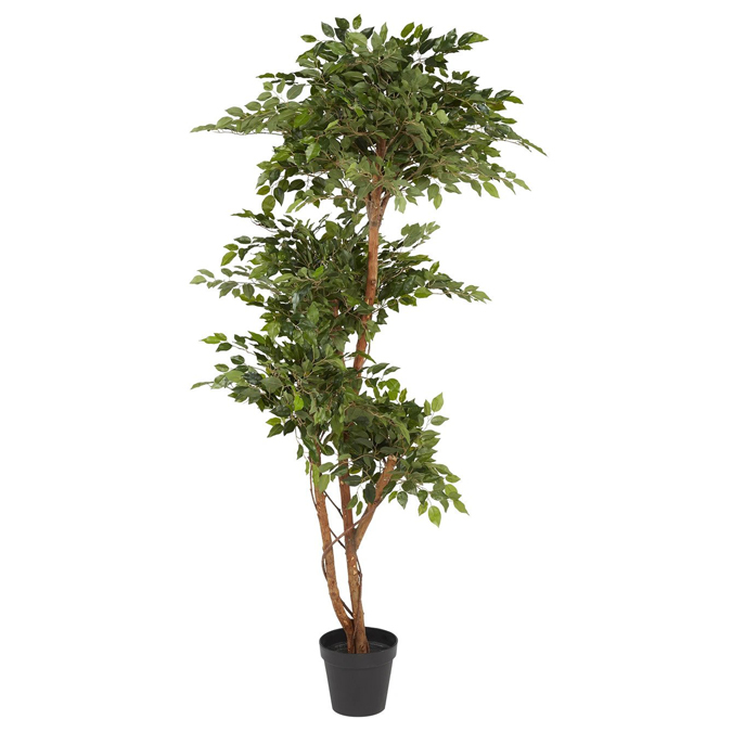 Clearance – Replica Plants and Decor