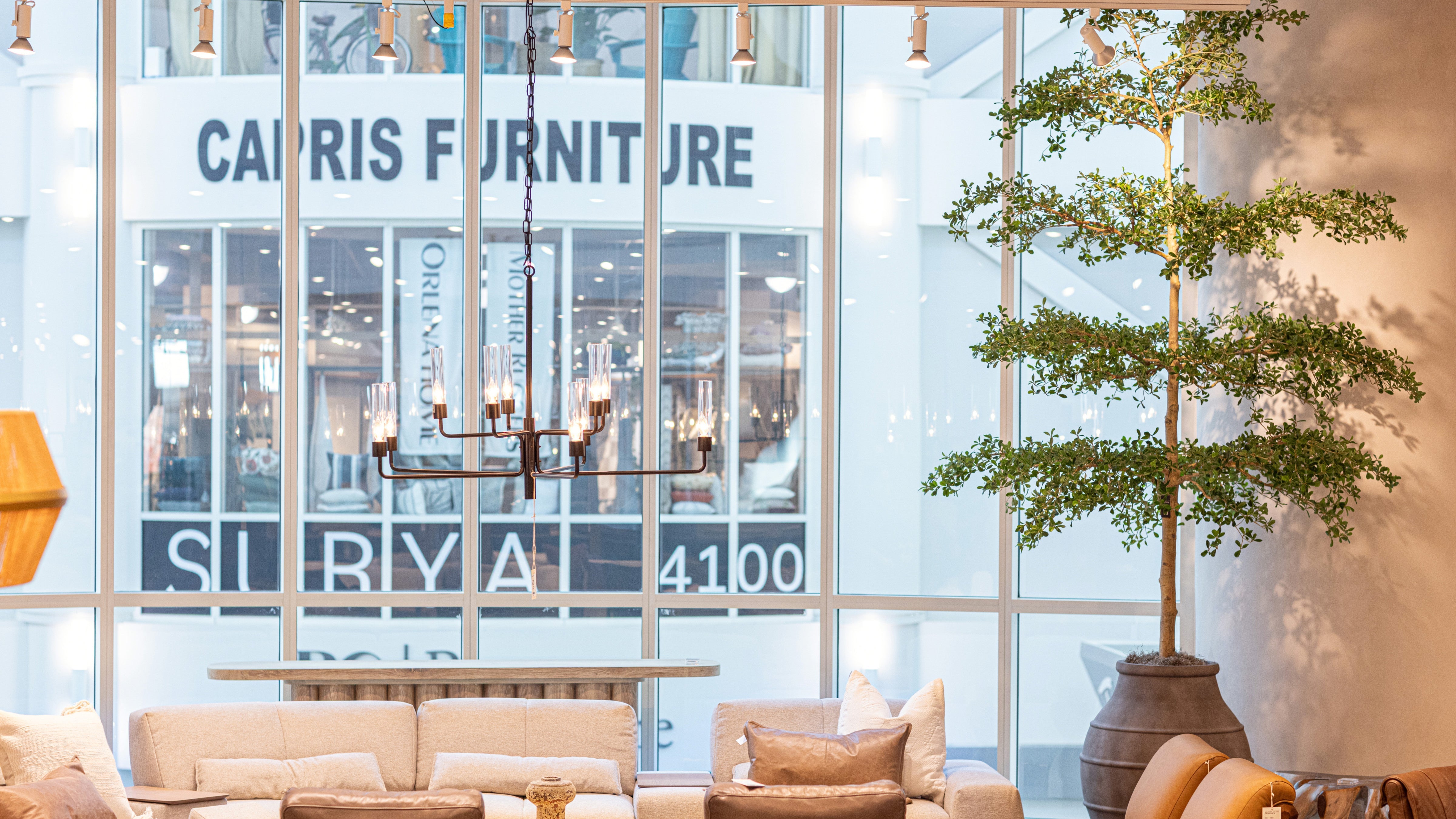 Giant Trees - Over 9' Tall