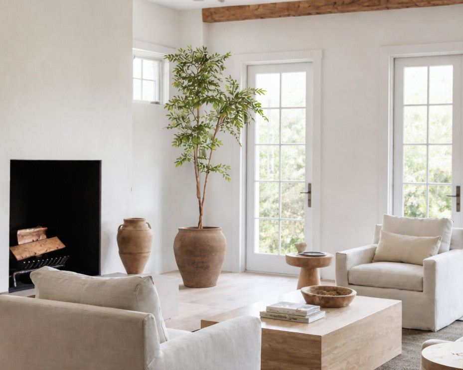 Ornamental & Canopy Trees