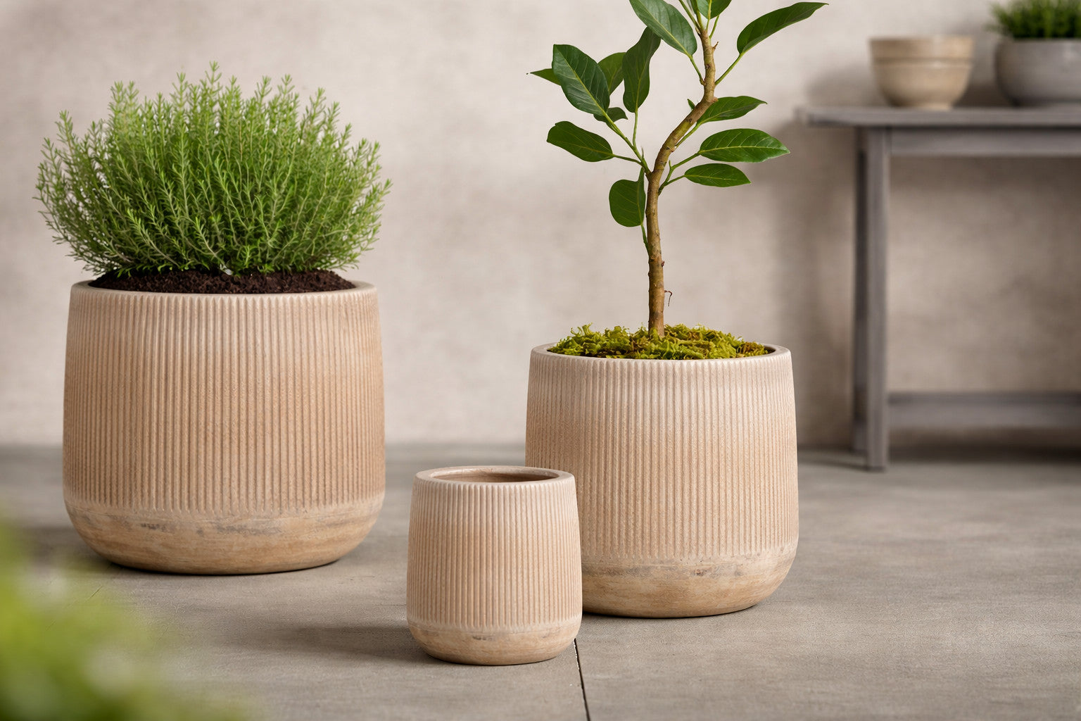Terracotta Floor Planters