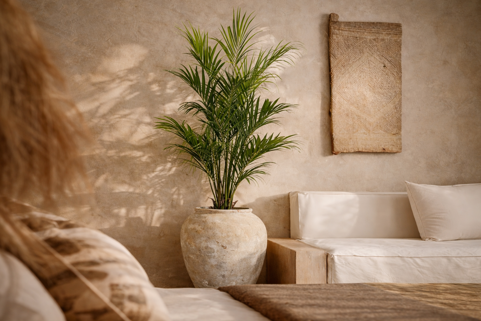 Tropical Plants & Trees