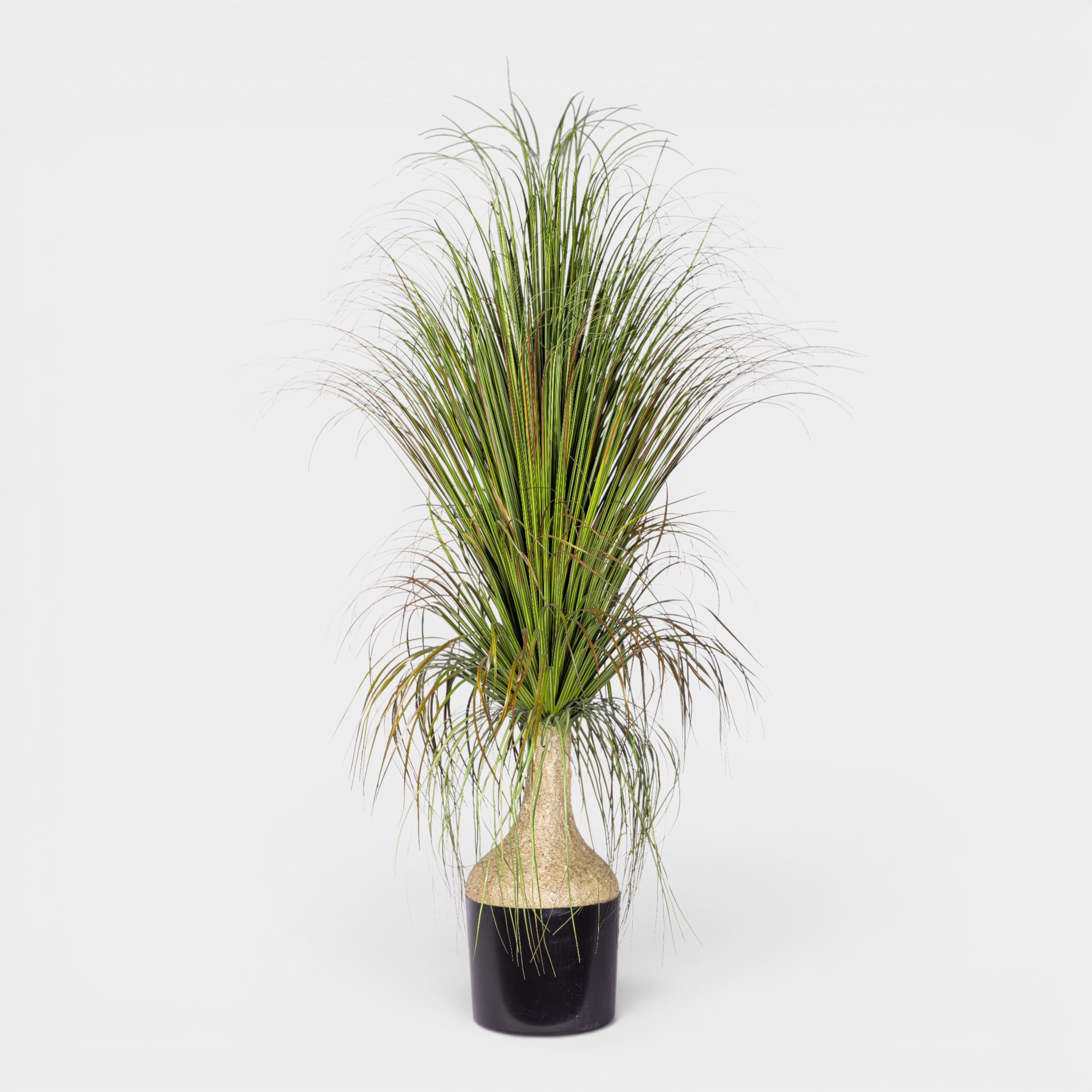 4.5' Pony Tail Palm Tree - UV Treated FP1519UV