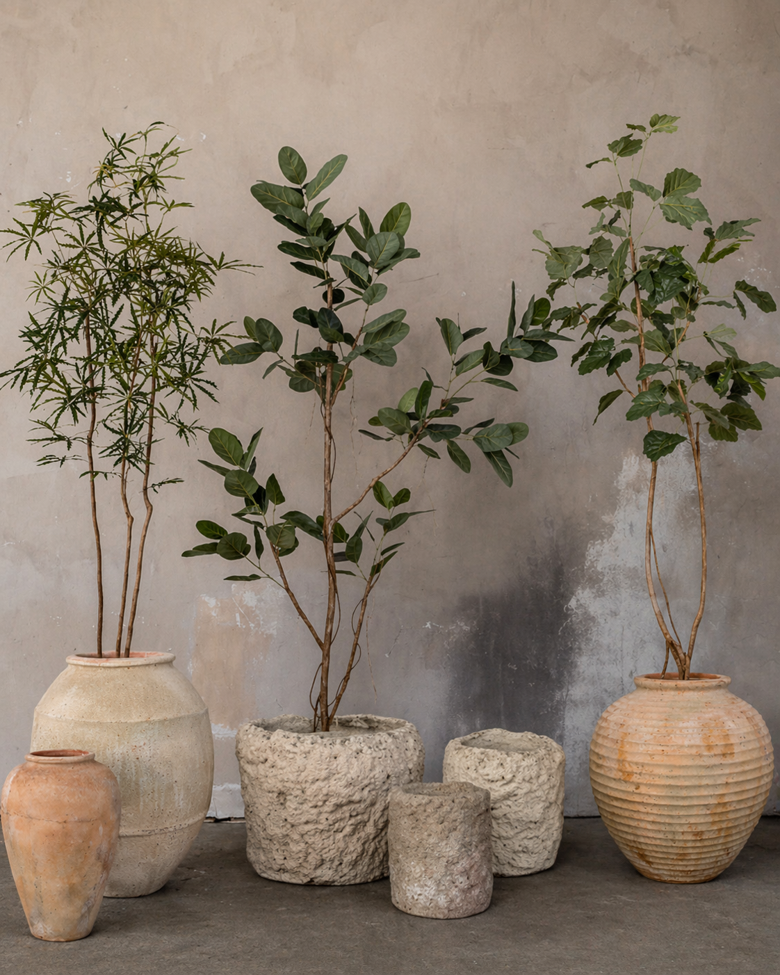 Soren Planter Collection CN1439