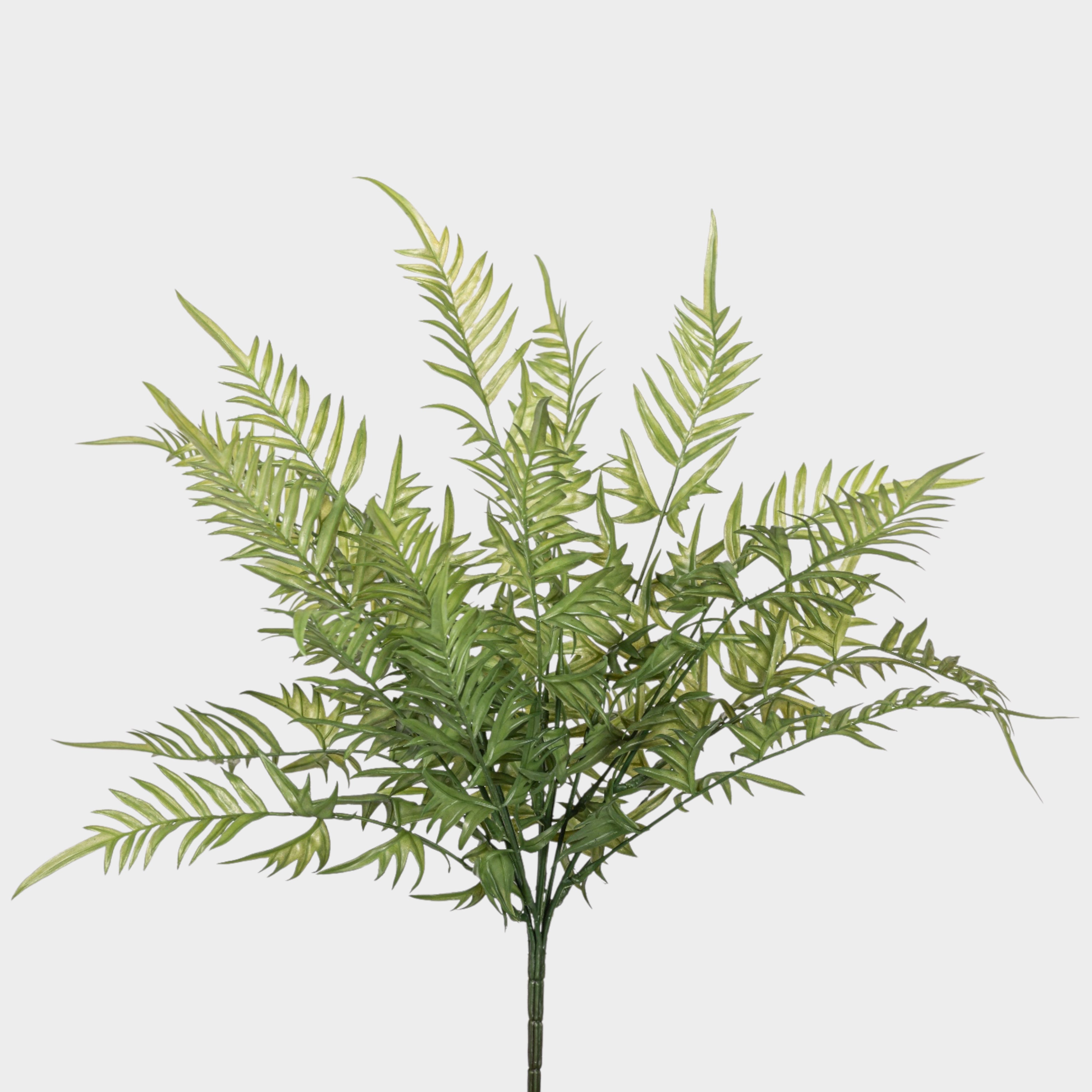 19" Fern Stem  FR1044