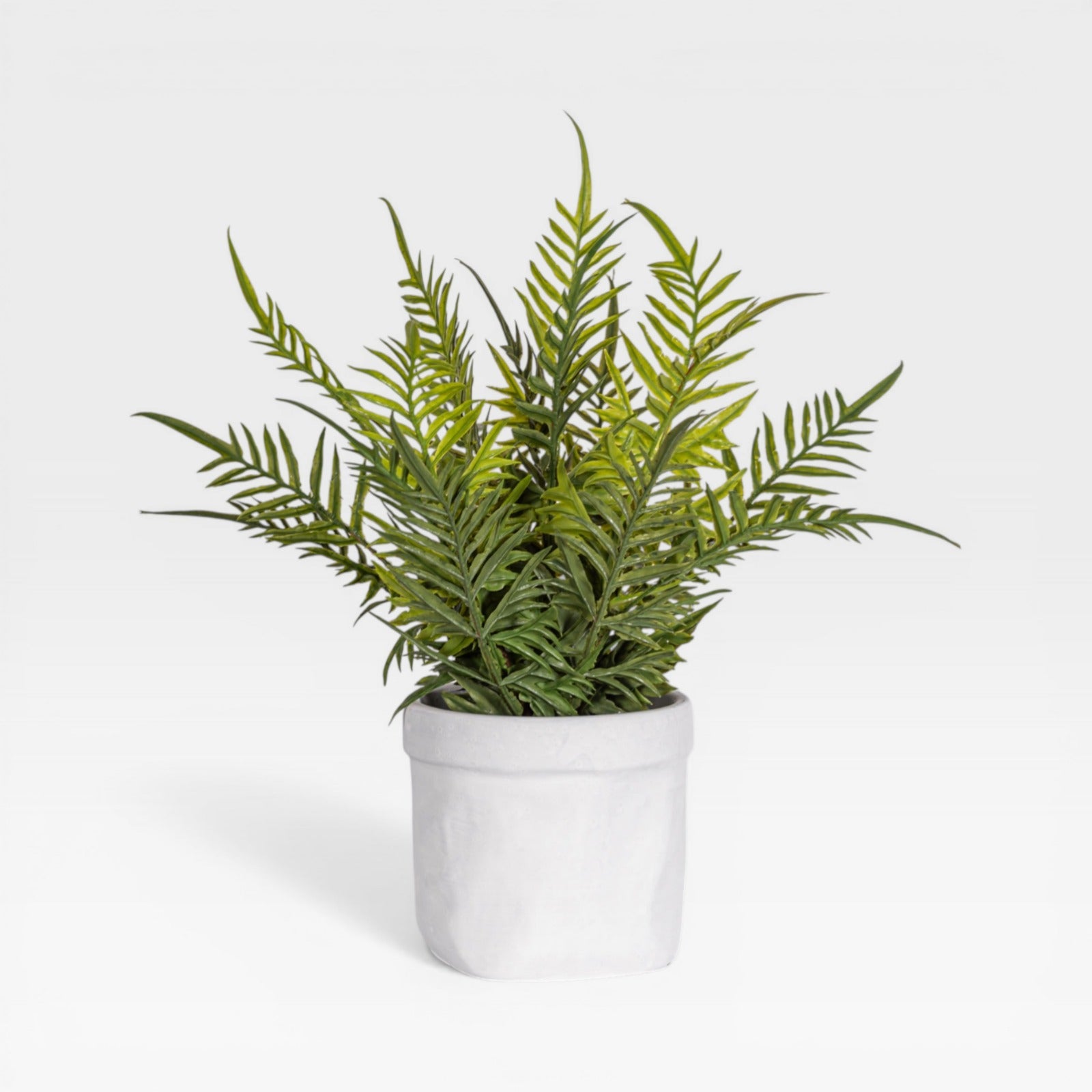 13" Fern Arrangement AR1930
