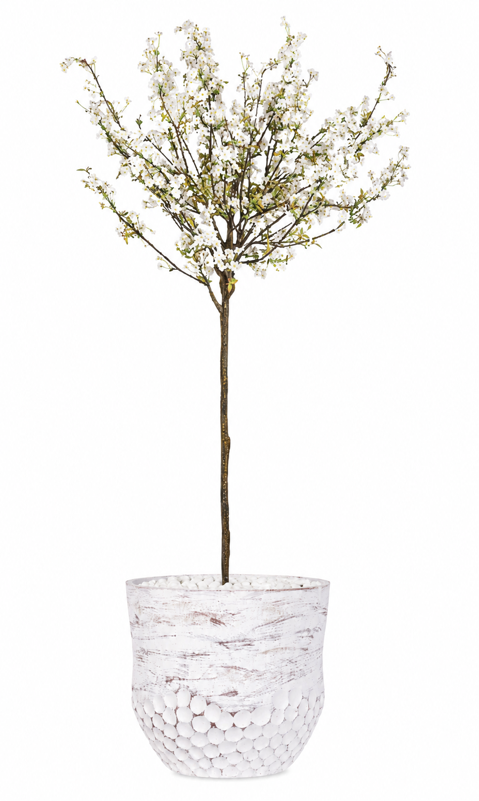 Cherry Tree in Teri Lynn Planter with White Rock PC1415CN1470LG