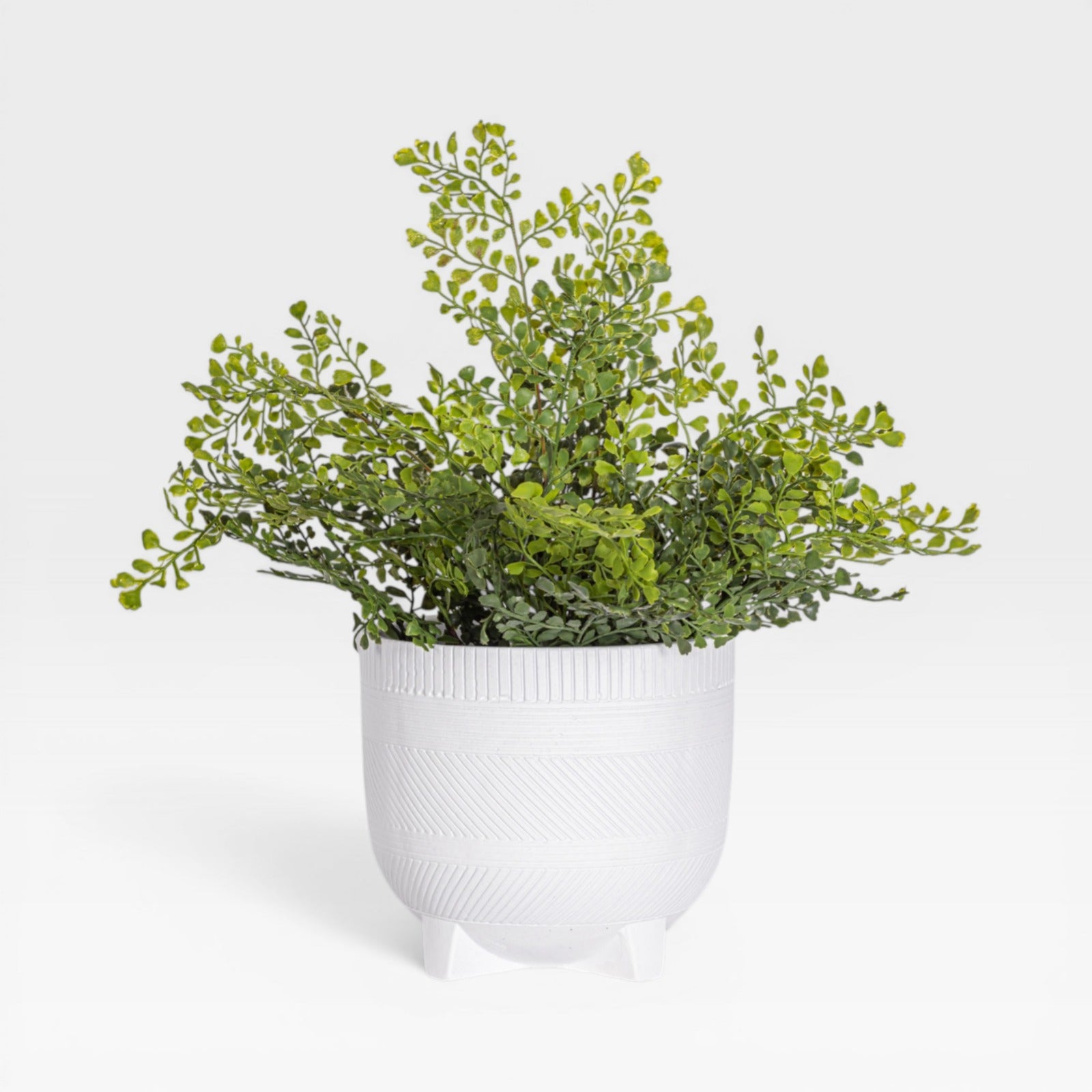18" Fern Arrangement AR1932