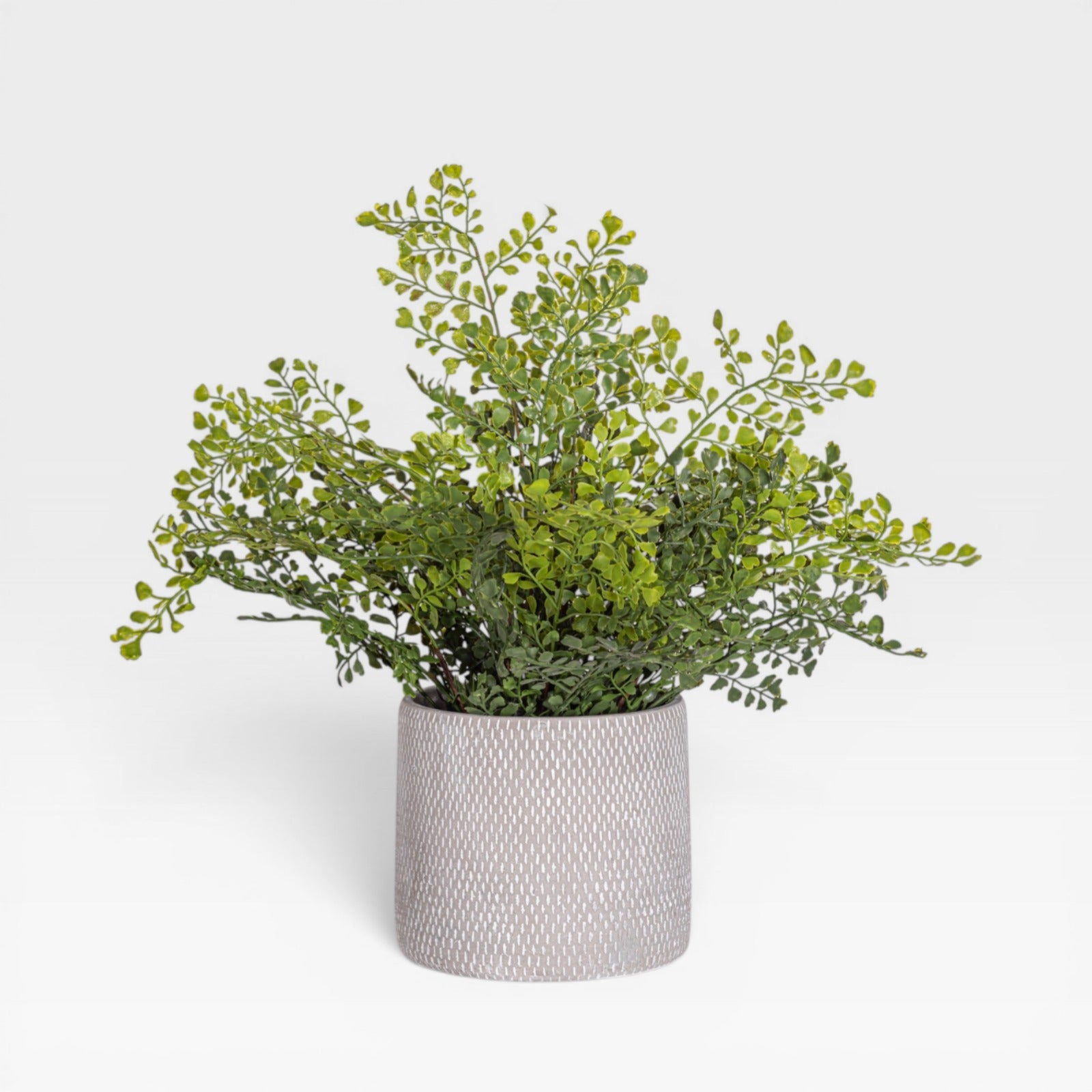 18" Fern Arrangement AR1932
