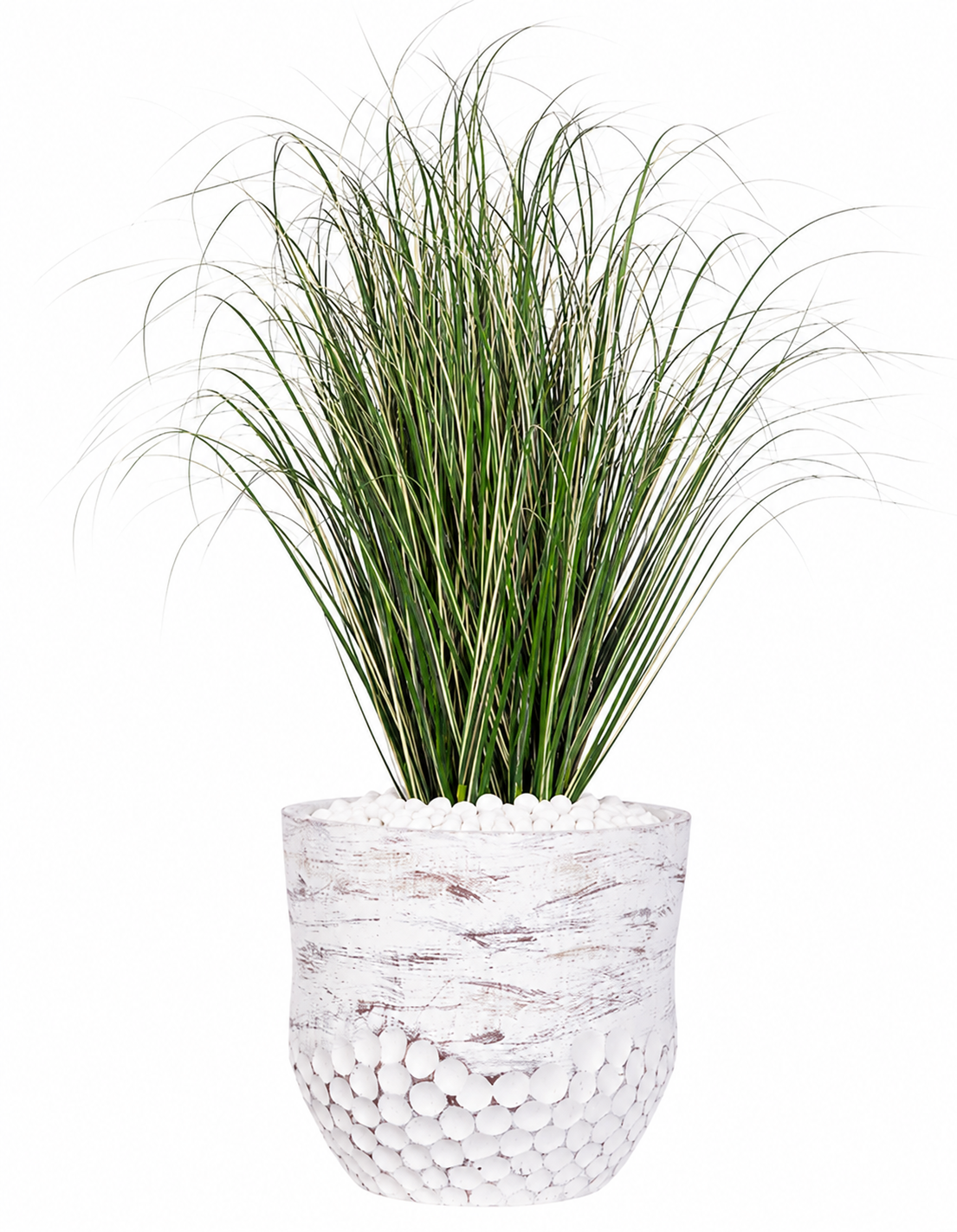 Variegated Grass in Teri Lynn Planter with White Rock PC1517CN1470SM
