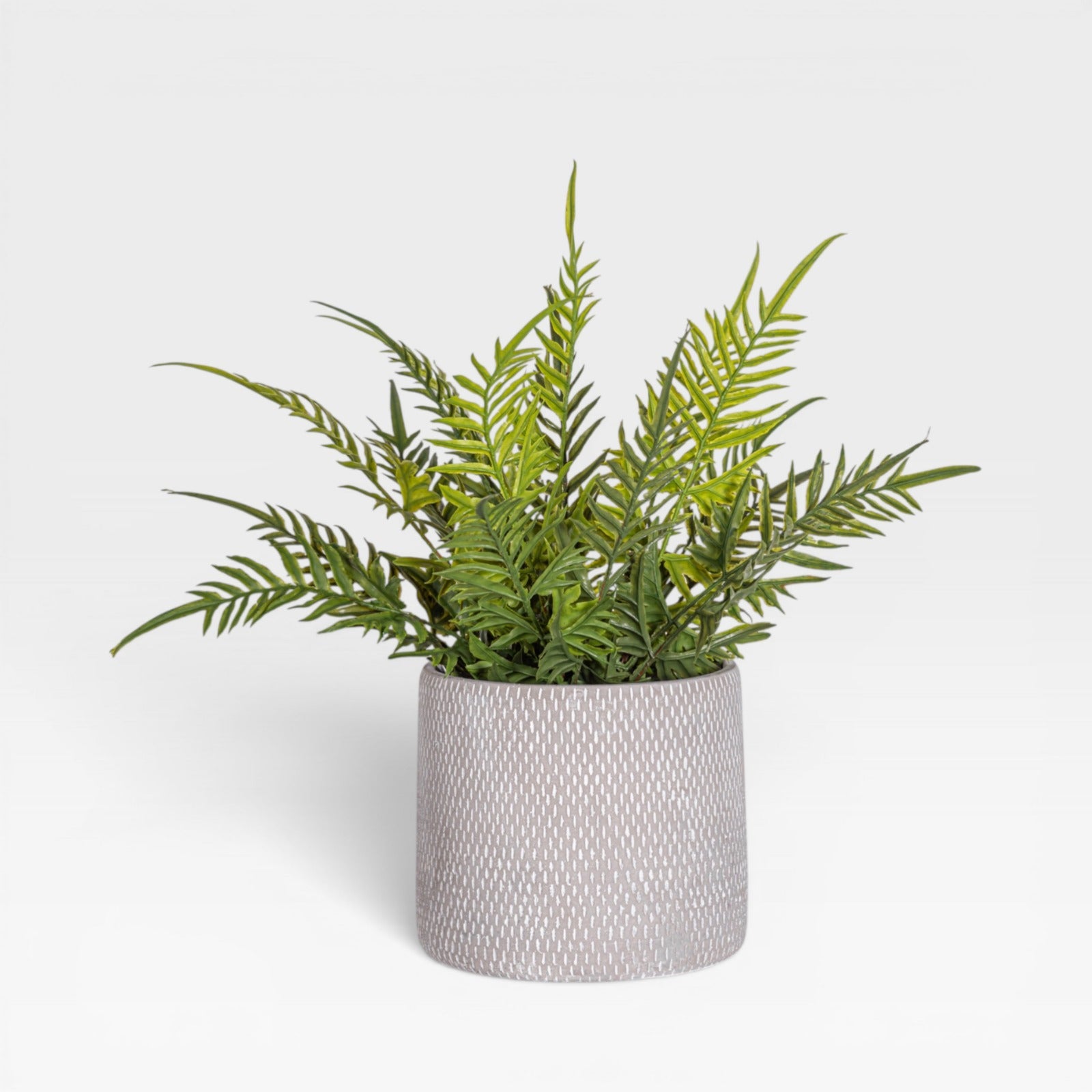 13" Fern Arrangement AR1930