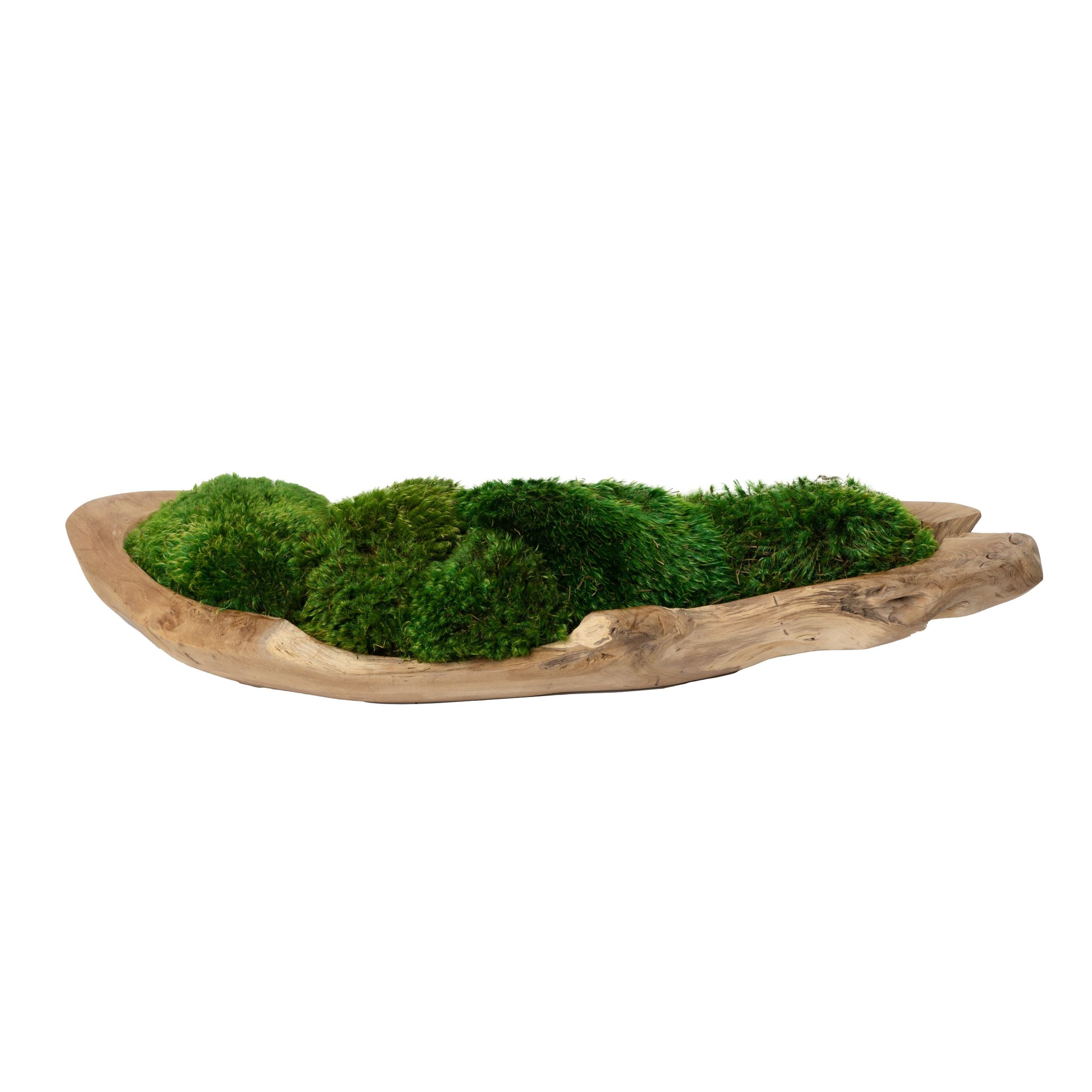 51.5" Kapal Wood Trough with Mood Moss Arrangement   AR1617