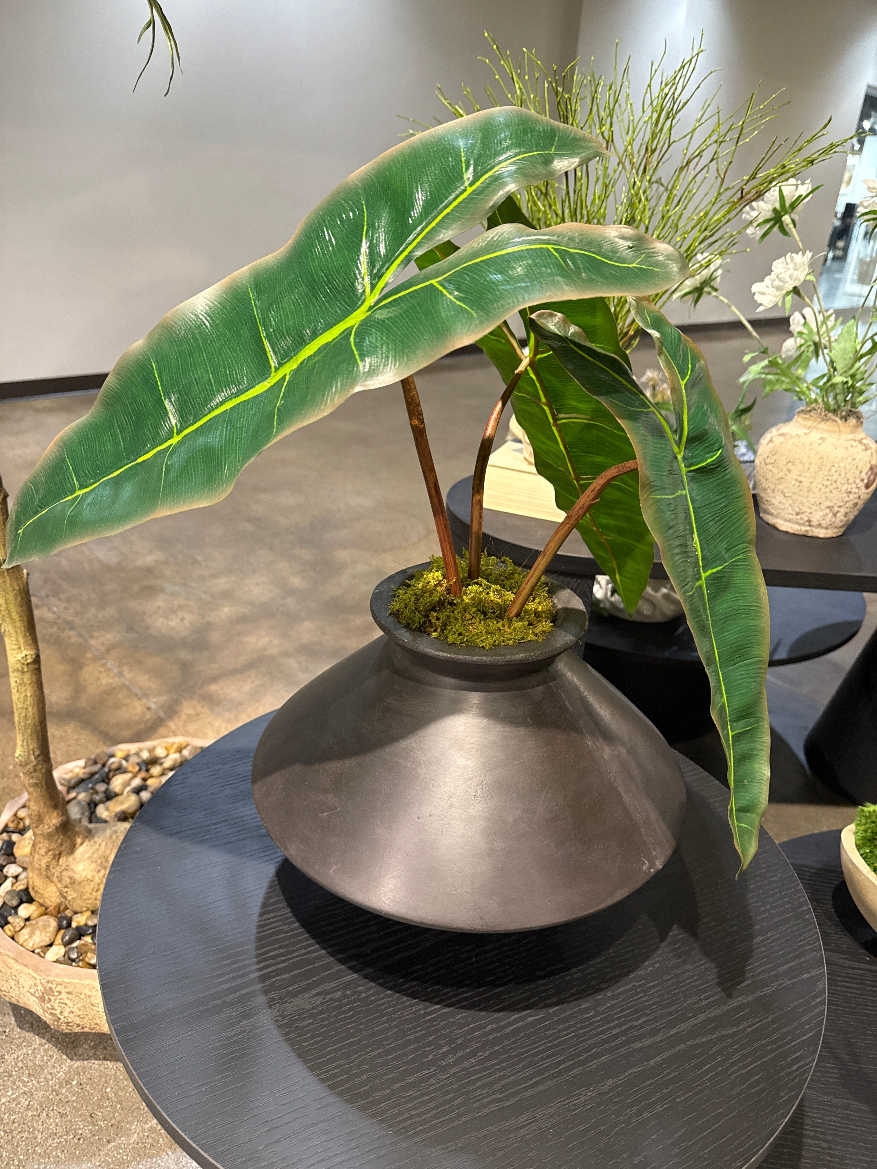 Stanley Vase with Philodendron Leaves Arrangement   AR2052