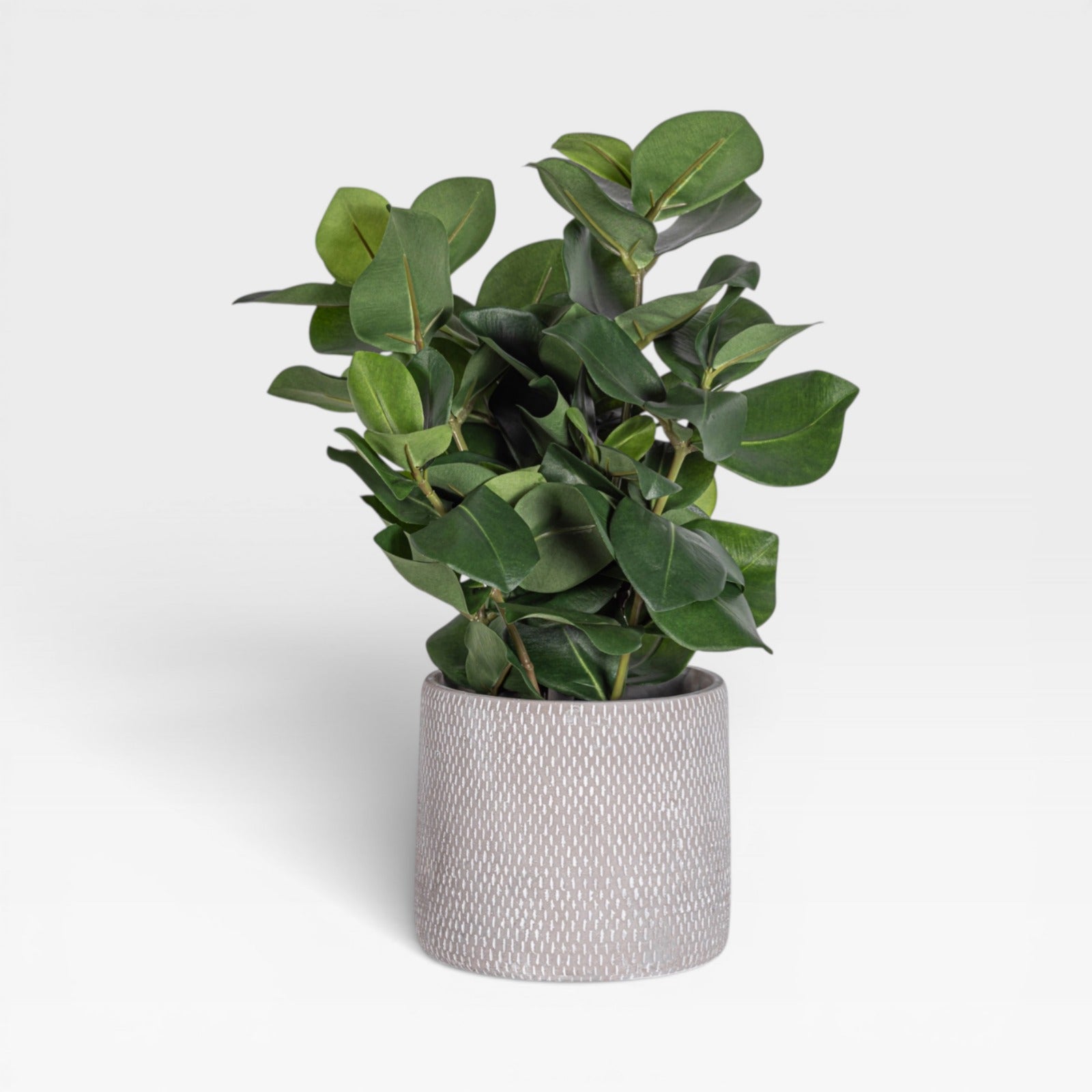 displaying plants Round Plant Stand, 63