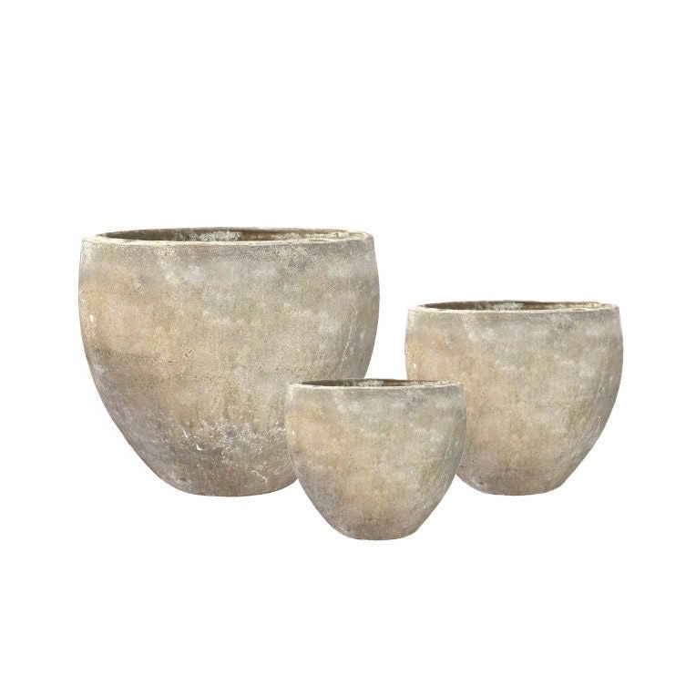 Ezra Planter   CN1383