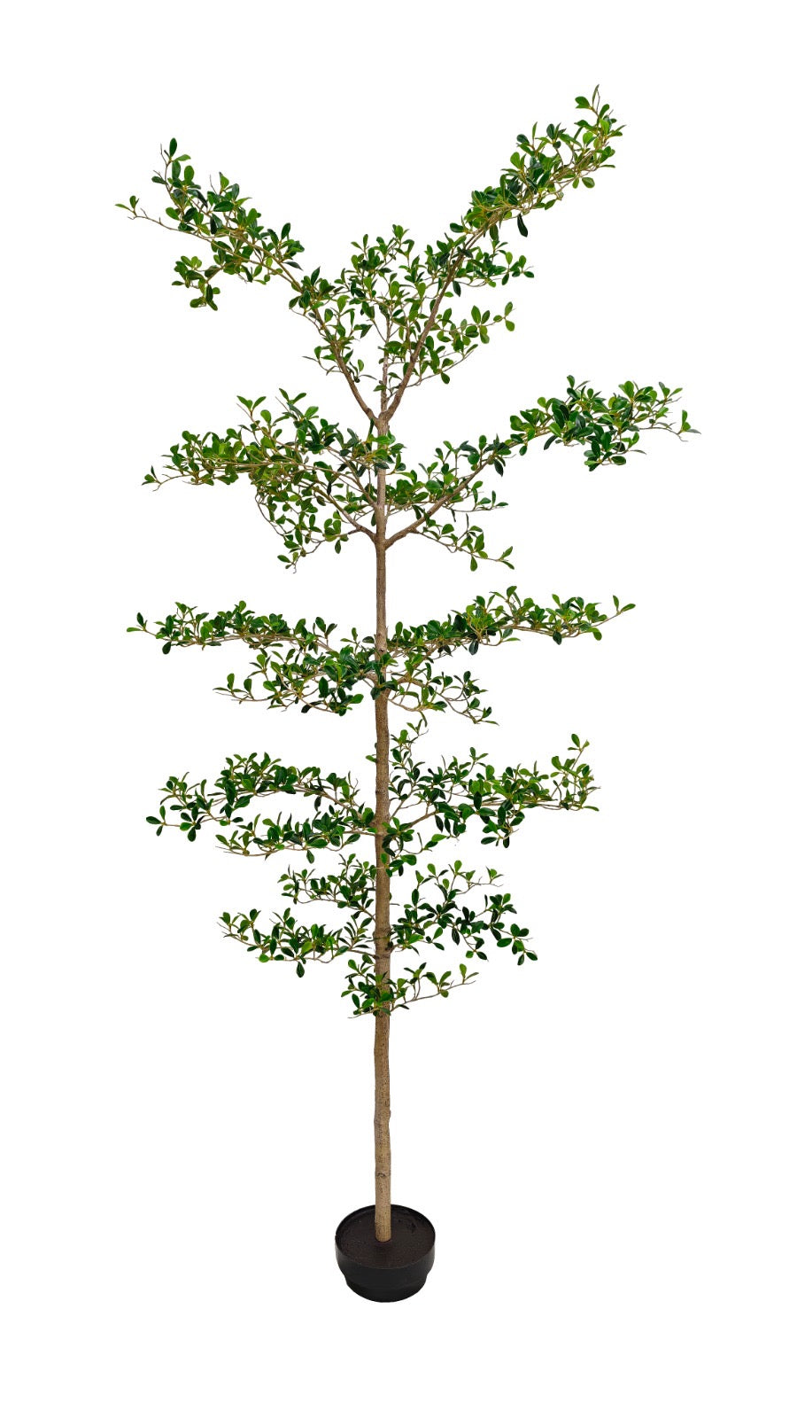 7’ Shady Lady Tree    FP1520