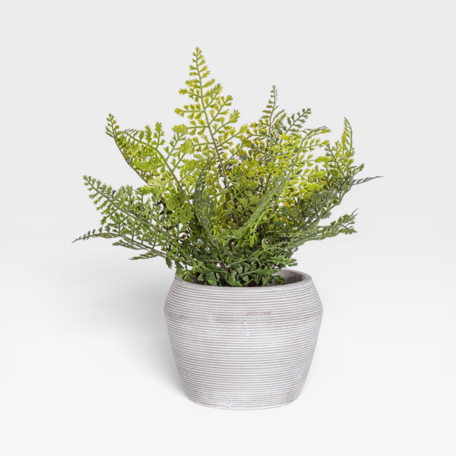 15" Fern Arrangement AR1931