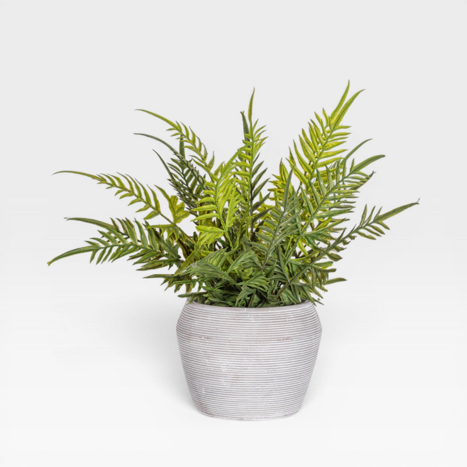 13" Fern Arrangement AR1930