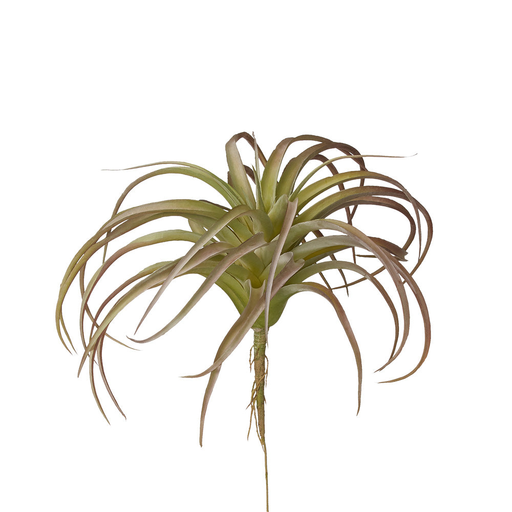 10" UV Red Air Plant  AP1013UV