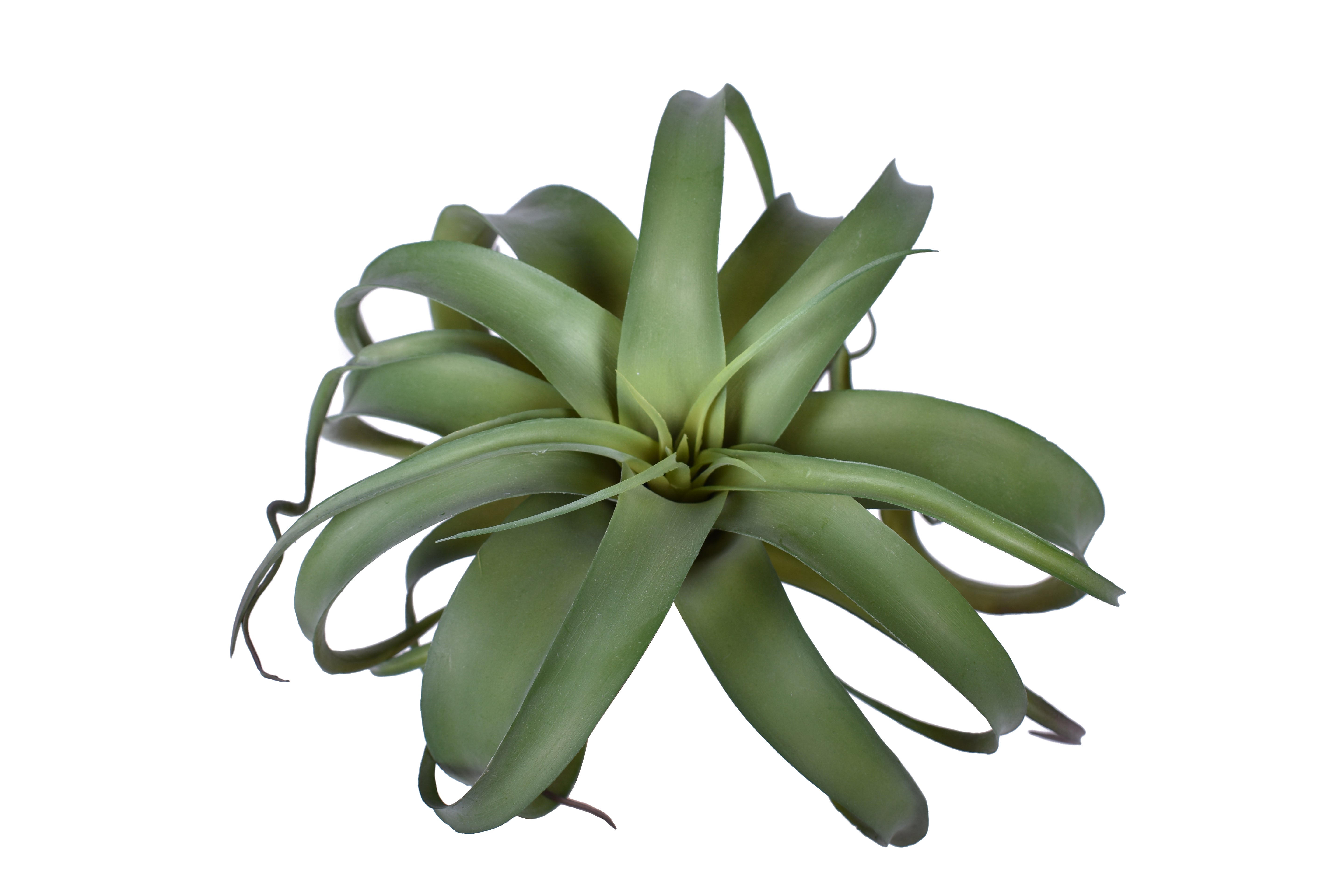 10.5" UV Protected Green Airplant   AP1009UV