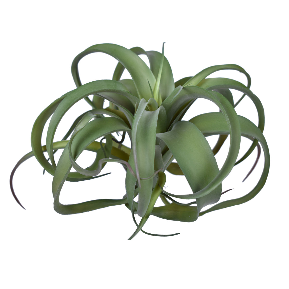 10.5" UV Protected Green Airplant   AP1009UV