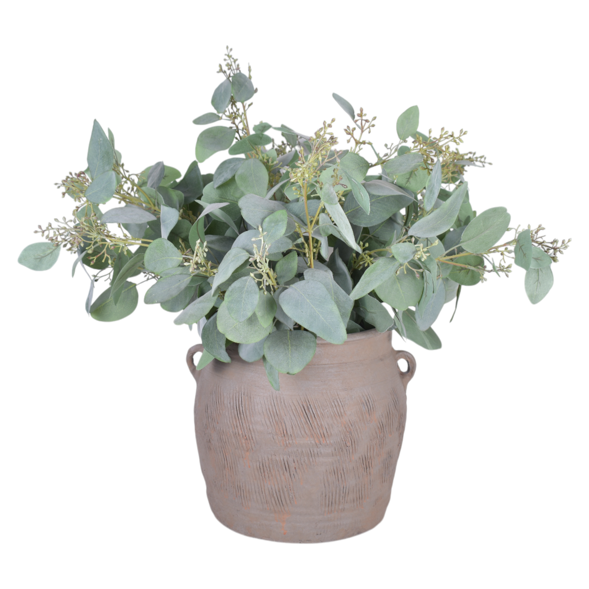 Carmen Planter with Eucalyptus Arrangement   AR1032