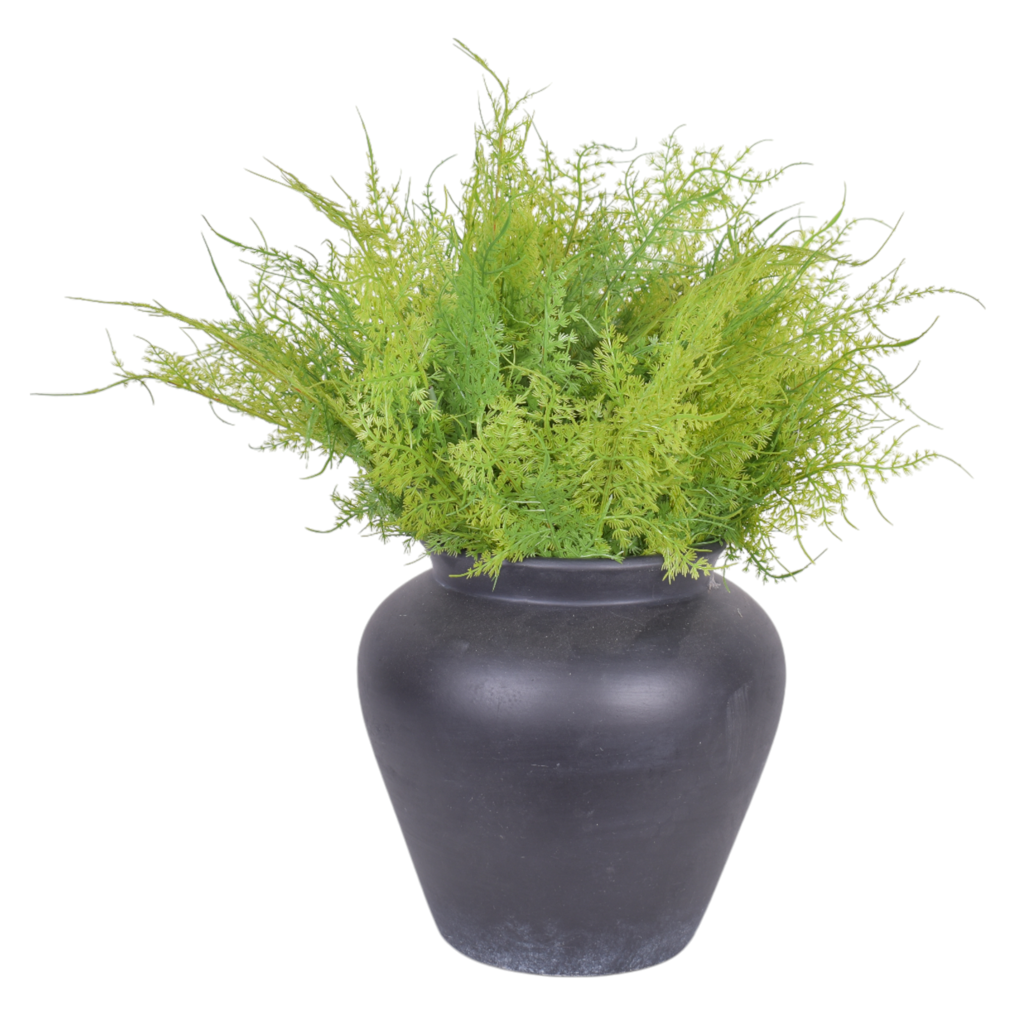 10" O'Neil Pot with Fern Arrangement   AR1055