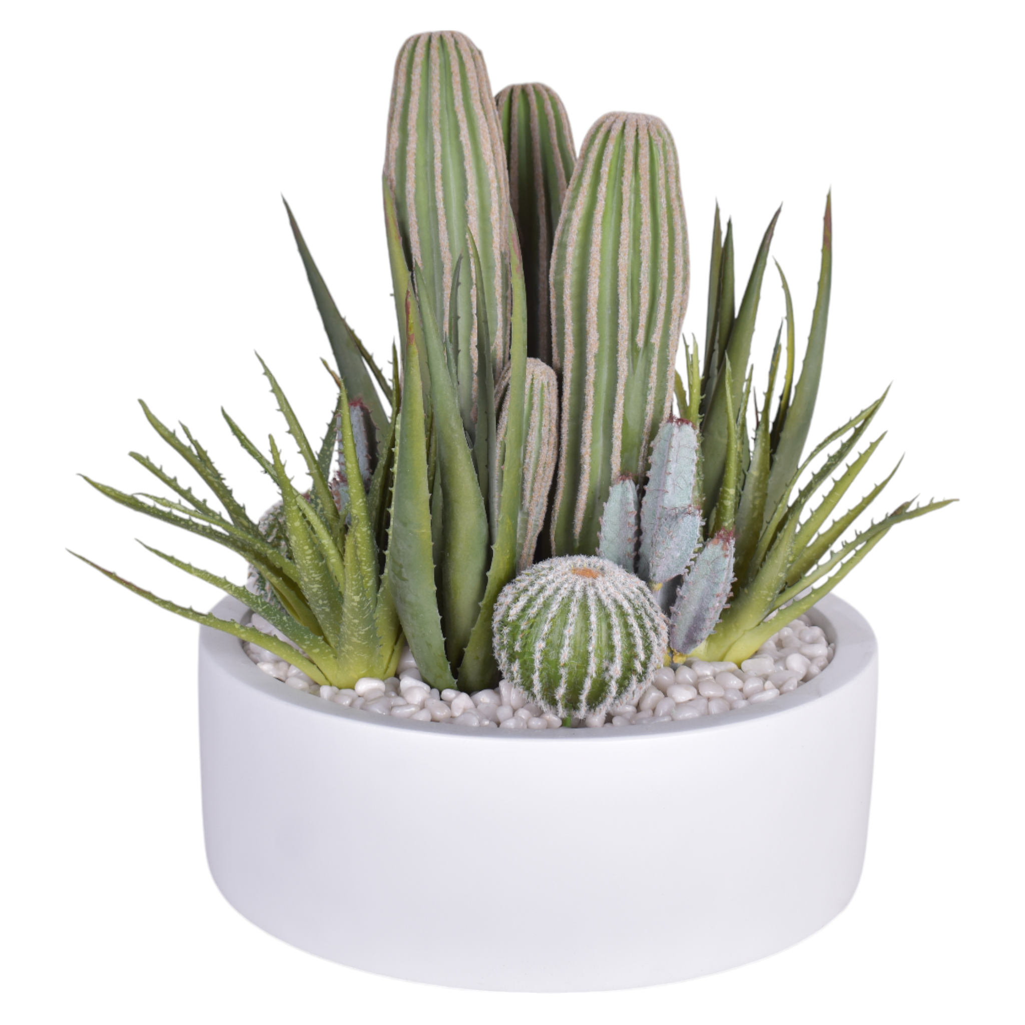 14" Morgan Bowl with Cactus Arrangement  AR1071