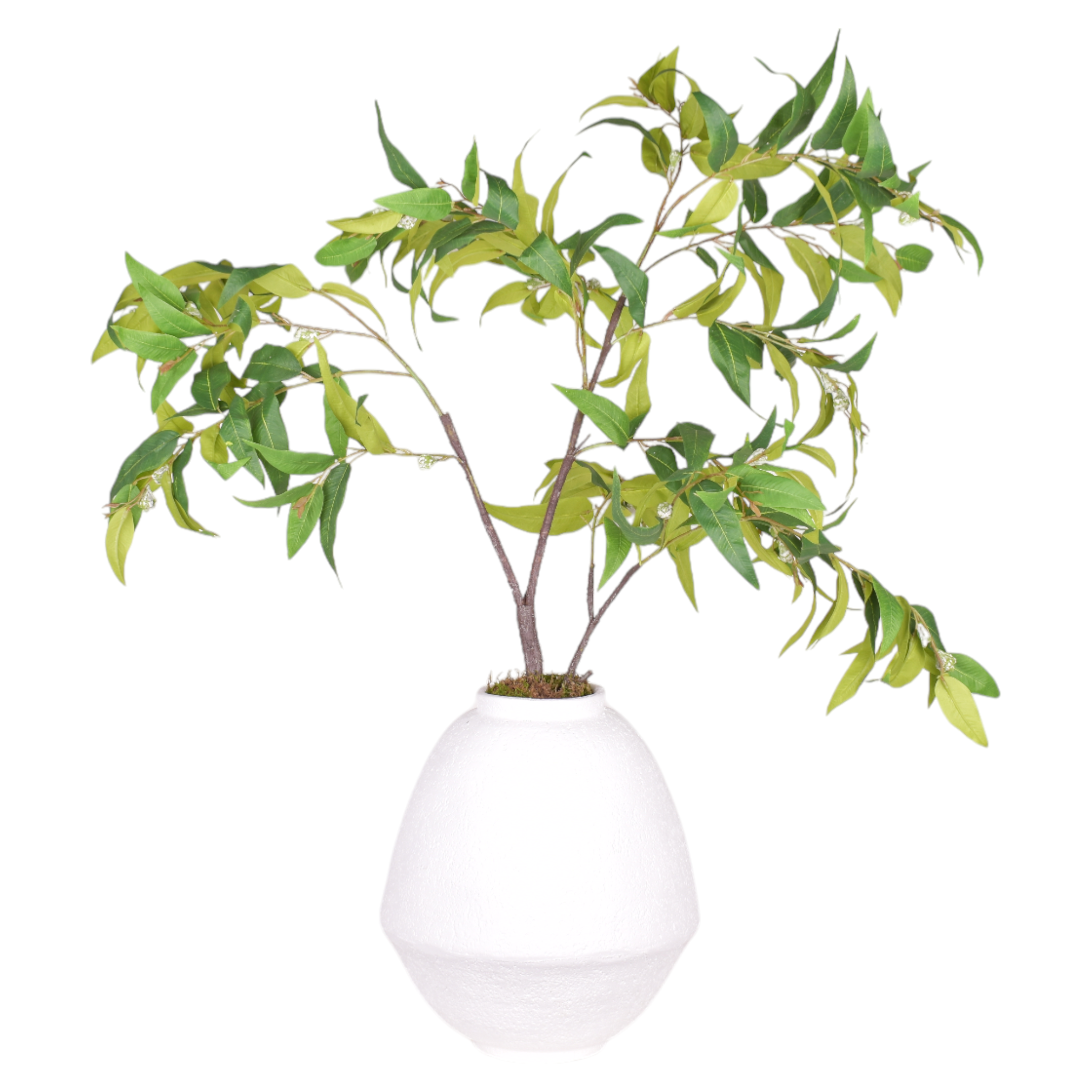 14" Jana Pot with Leafy Branch   AR1091