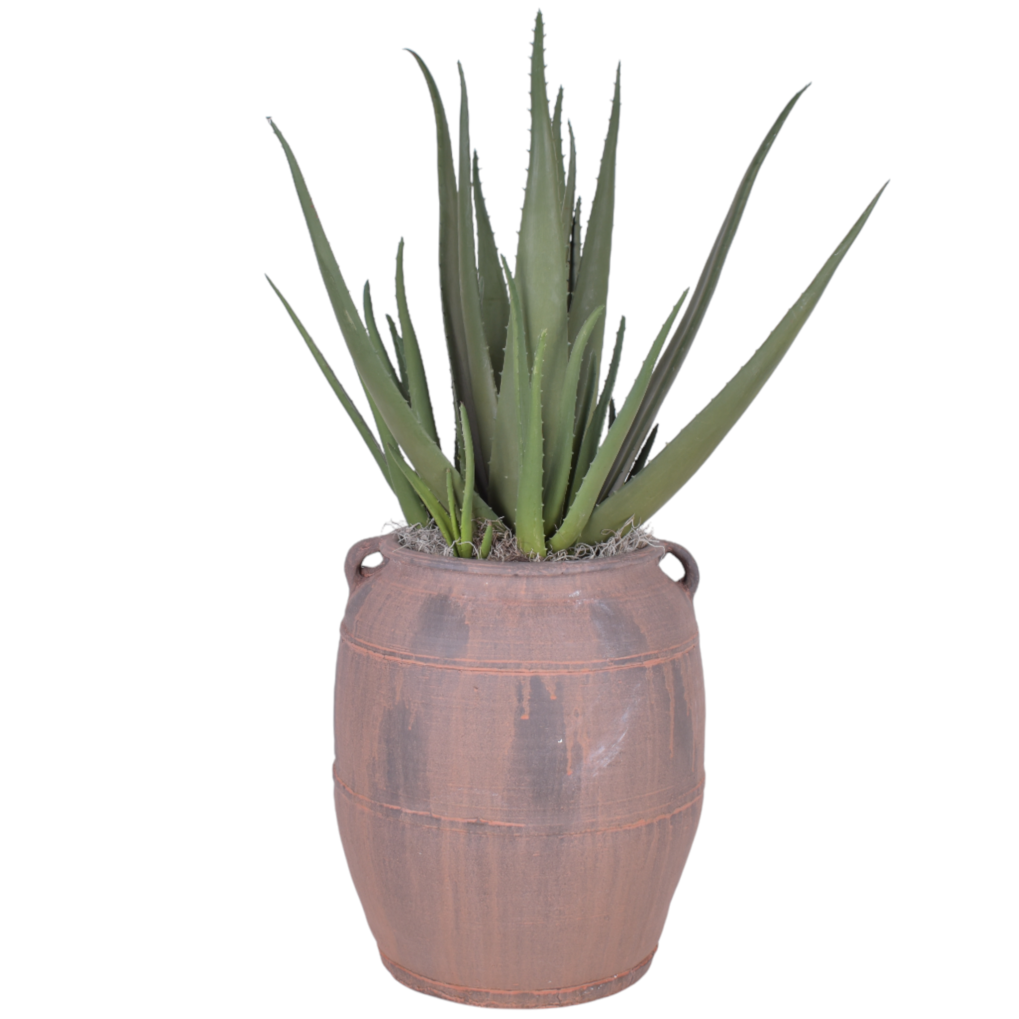 Prescott Planter with UV Protected Aloe Plant   AR1094UV