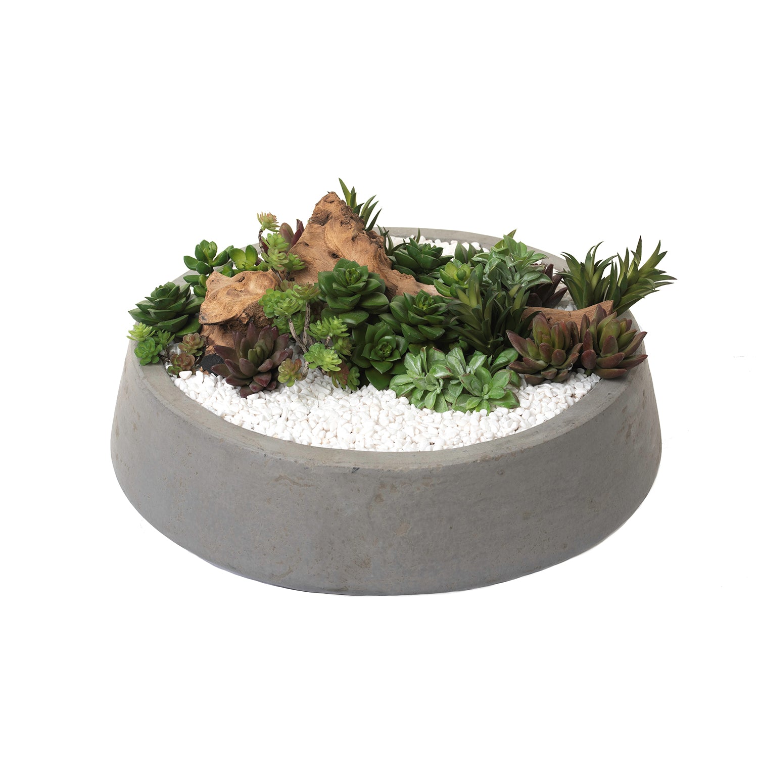 15" Mack Concrete Bowl with Succulent & Driftwood Arrangement   AR1099