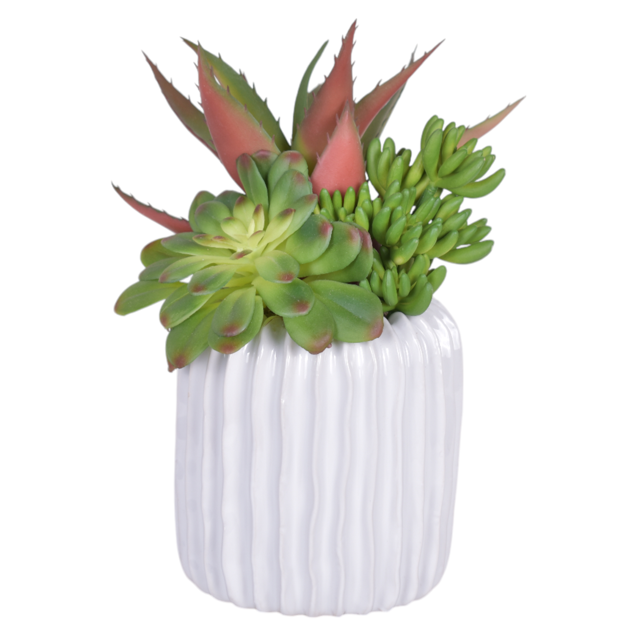 5" Haven Pot with Succulent Arrangement AR1101