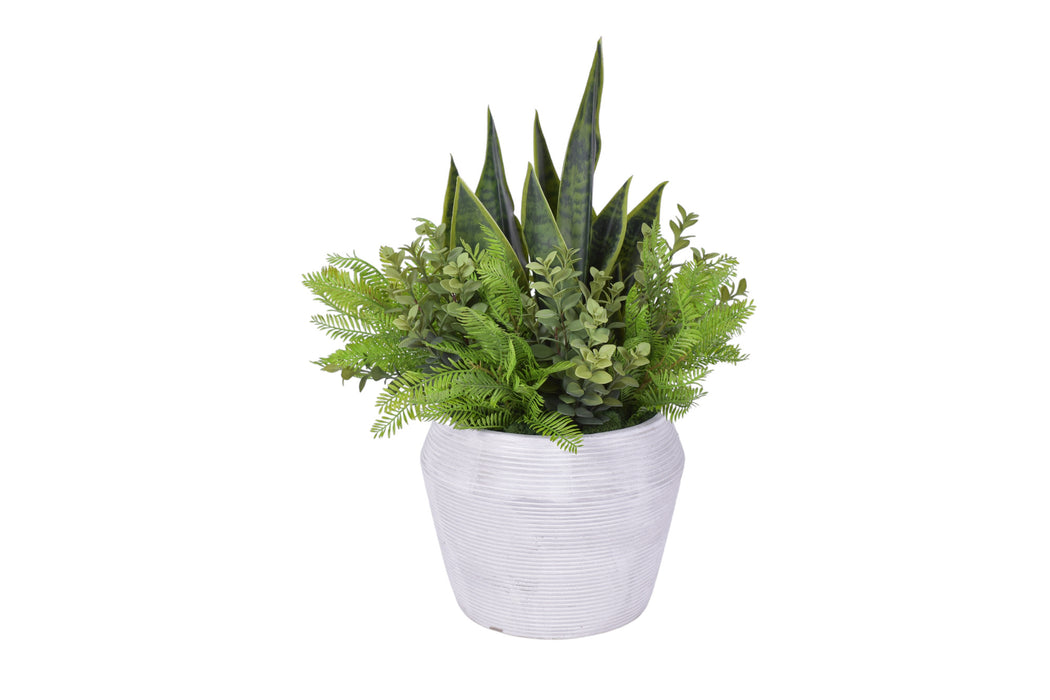 Grayson Pot with Sansevieria and Greenery Arrangement   AR1107