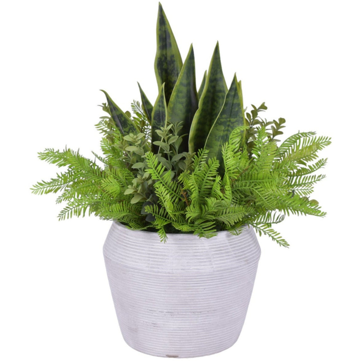 Grayson Pot with Sansevieria and Greenery Arrangement   AR1107