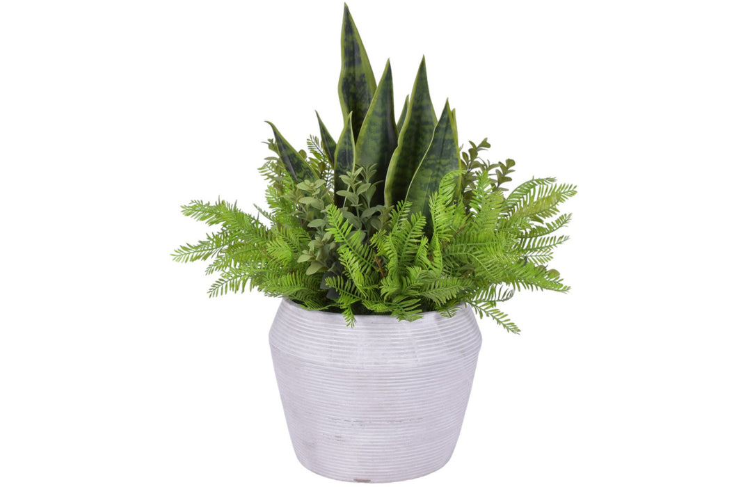 Grayson Pot with Sansevieria and Greenery Arrangement   AR1107