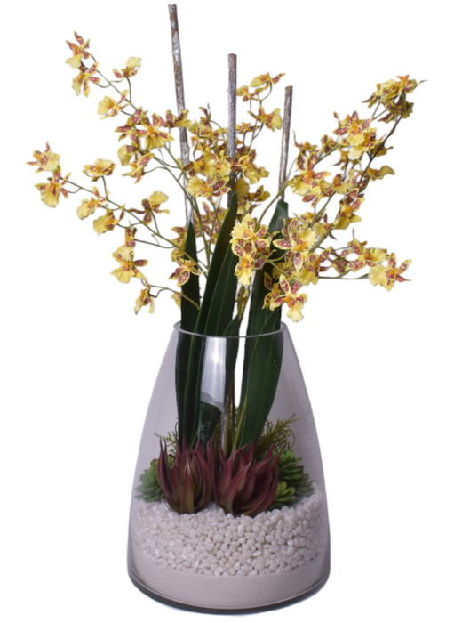 15" Parker Terrarium with Yellow Orchid Arrangement   AR1114