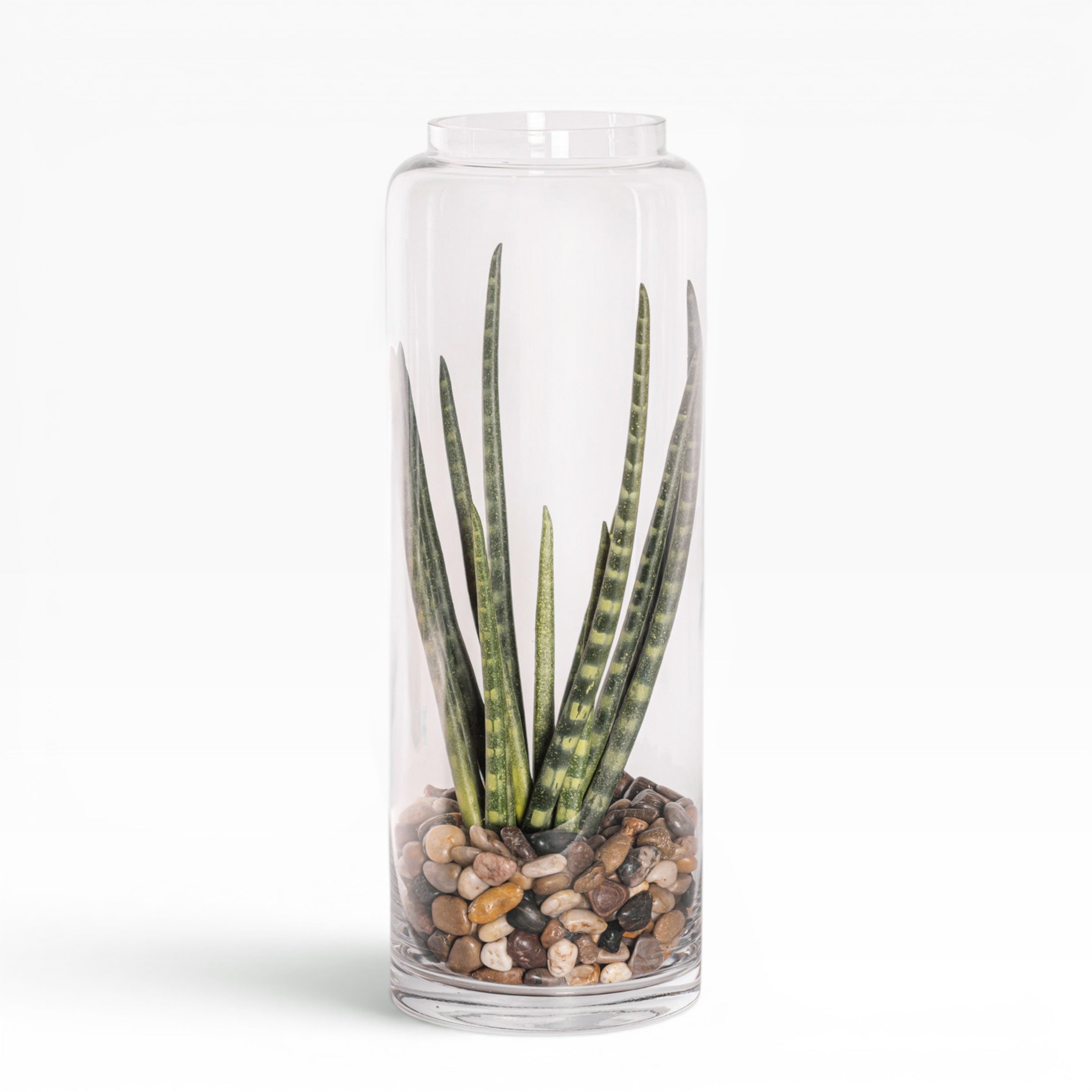 21" Kailee Vase with Snake Stem Arrangement