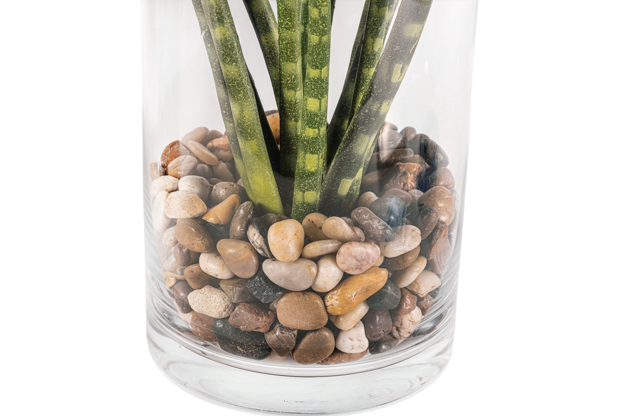 21" Kailee Vase with Snake Stem Arrangement